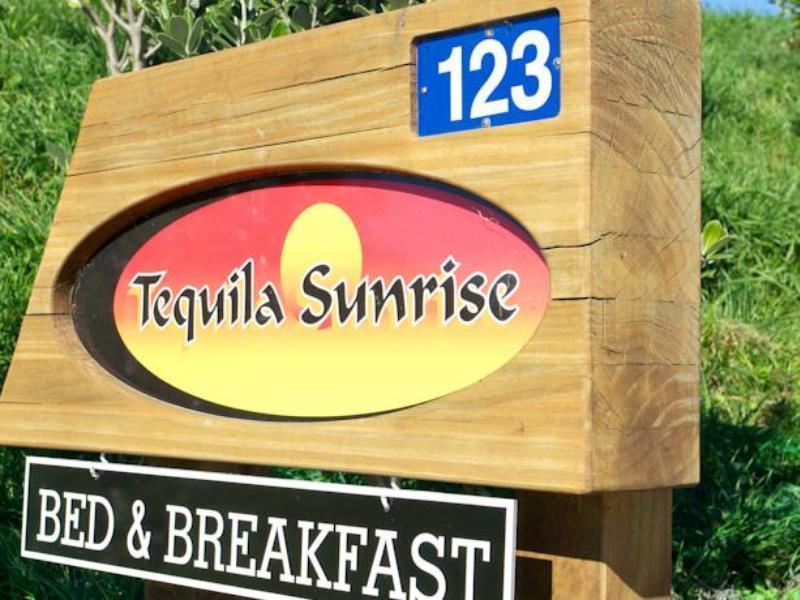 Napier B&B - Tequila Sunrise Eskdale Esterno foto